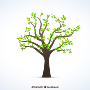 hypnobirthing babymassage duisburg marie sanfte geburt plazenta lebensbaum baum stammbaum
